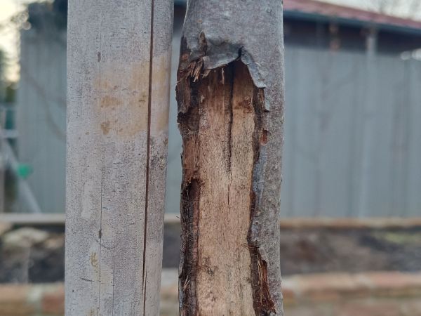 A - nejednoznačne určen&yacute;, nie sme si ist&iacute;