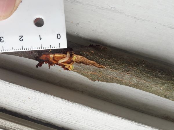 A - nie je v datab&aacute;ze