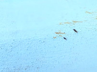 A - nejednoznačne určen&yacute;, nie sme si ist&iacute;