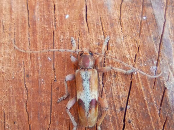 A - nie je v datab&aacute;ze