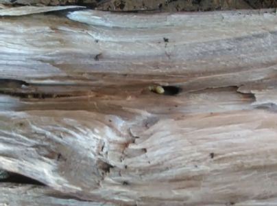 A - nie je v datab&aacute;ze