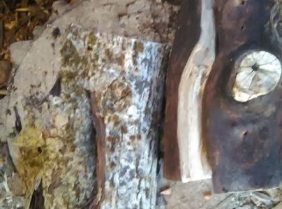 A - nie je v datab&aacute;ze