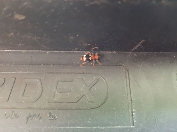 A - nie je v datab&aacute;ze