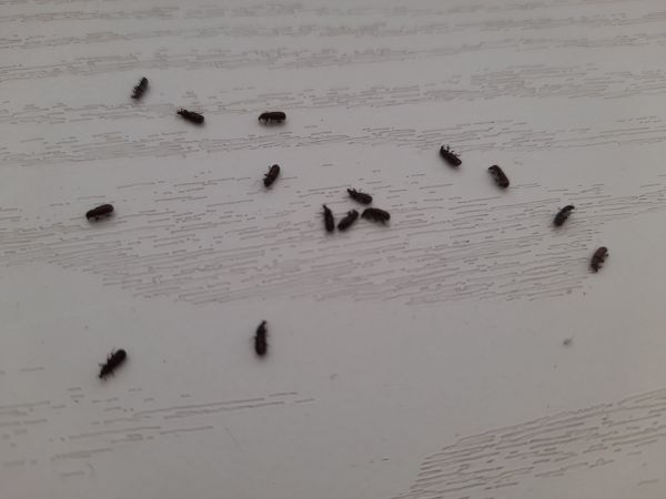 A - nie je v datab&aacute;ze