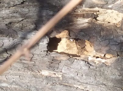 A - nejednoznačne určen&yacute;, nie sme si ist&iacute;