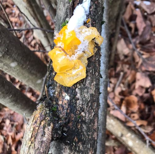  Róbert Víglašský