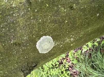 At&eacute;lia listov&aacute;