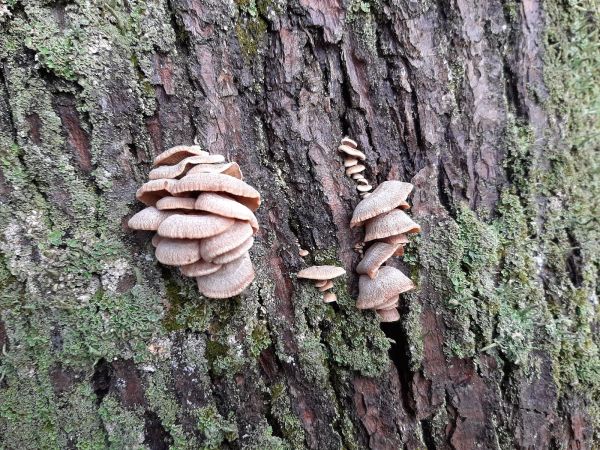 A - nie je v datab&aacute;ze