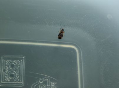 A - nie je v datab&aacute;ze