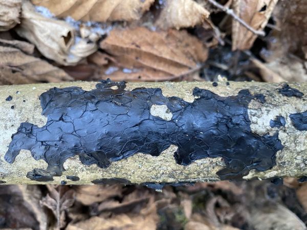 A - nejednoznačne určen&yacute;, nie sme si ist&iacute;