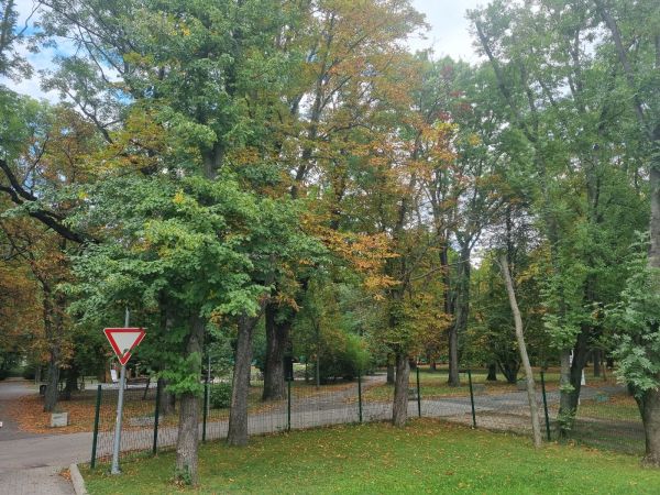 Plosk&aacute;čik paga&scaron;tanov&yacute;