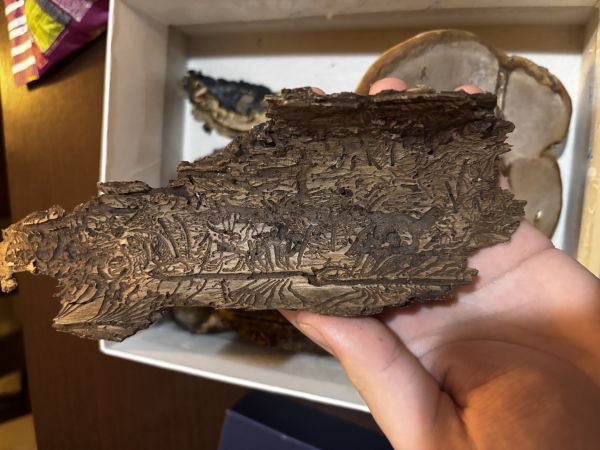 A - nejednoznačne určen&yacute;, nie sme si ist&iacute;