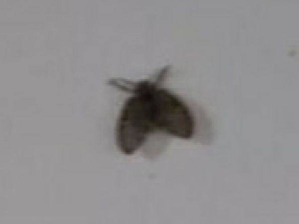 A - nie je v datab&aacute;ze