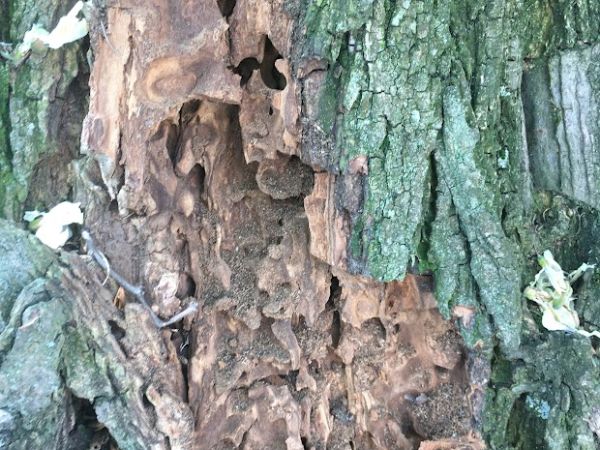 A - nejednoznačne určen&yacute;, nie sme si ist&iacute;