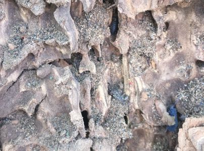 A - nejednoznačne určen&yacute;, nie sme si ist&iacute;