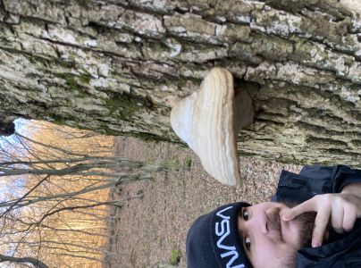 Pr&aacute;chnovec kopytovit&yacute;