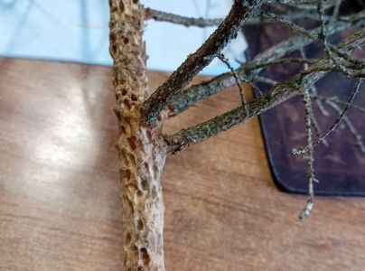 A - nejednoznačne určen&yacute;, nie sme si ist&iacute;