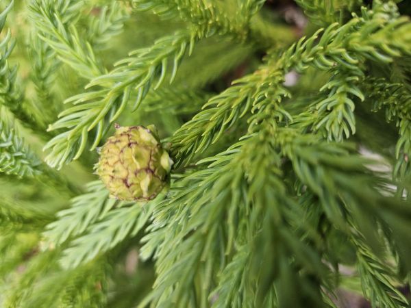 A - nie je v datab&aacute;ze