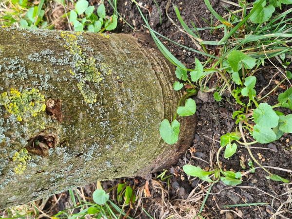 A - nie je v datab&aacute;ze