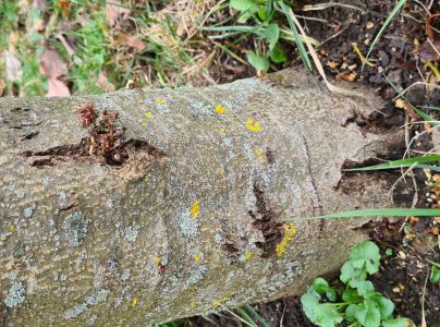 A - nie je v datab&aacute;ze