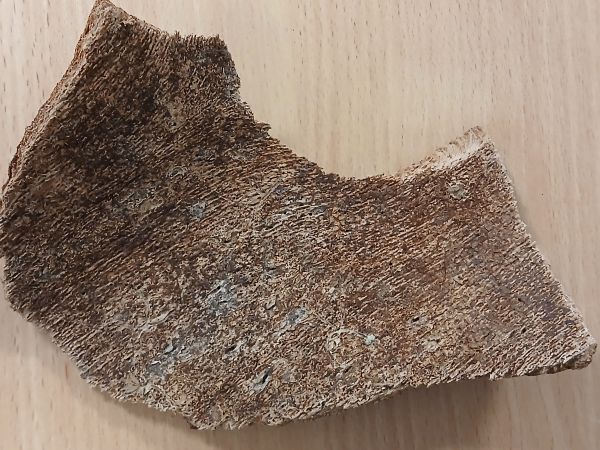 A - nejednoznačne určen&yacute;, nie sme si ist&iacute;