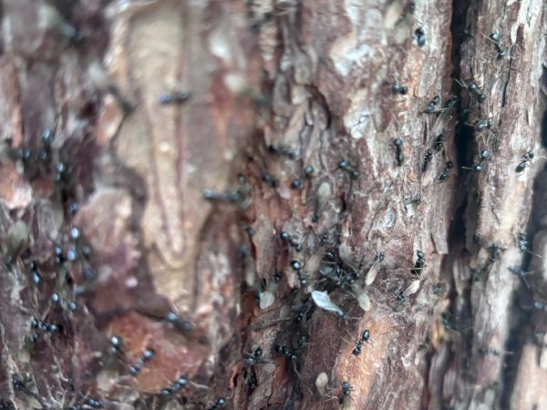 A - nie je v datab&aacute;ze