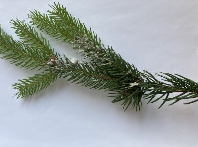 A - nejednoznačne určen&yacute;, nie sme si ist&iacute;