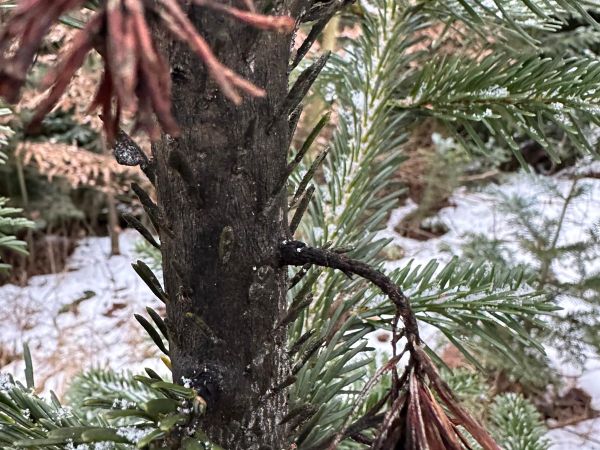 A - nie je v datab&aacute;ze