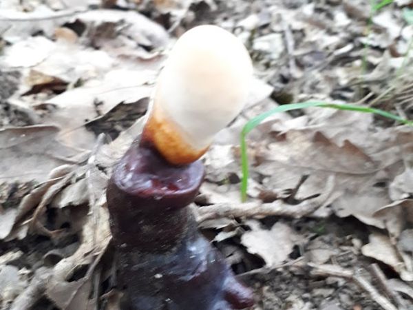 A - nie je v datab&aacute;ze