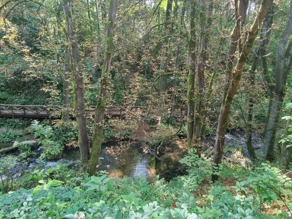 Plosk&aacute;čik paga&scaron;tanov&yacute;