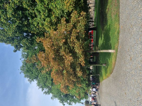 Teplo, sucho a &uacute;pal