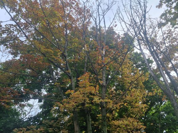 Teplo, sucho a &uacute;pal