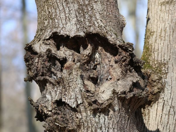 A - nie je v datab&aacute;ze