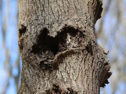 A - nie je v datab&aacute;ze