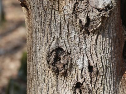 A - nie je v datab&aacute;ze