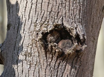 A - nie je v datab&aacute;ze