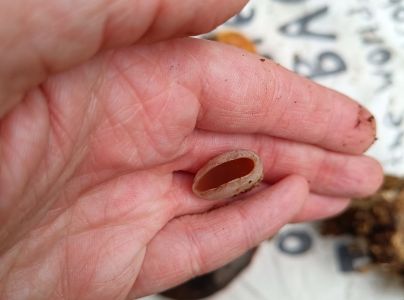 A - nejednoznačne určen&yacute;, nie sme si ist&iacute;