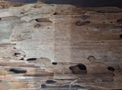 A - nie je v datab&aacute;ze