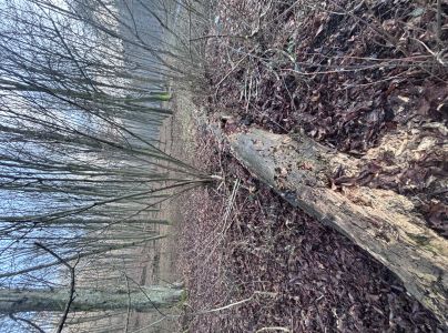 A - nejednoznačne určen&yacute;, nie sme si ist&iacute;