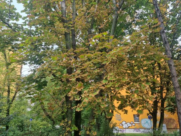 Teplo, sucho a &uacute;pal