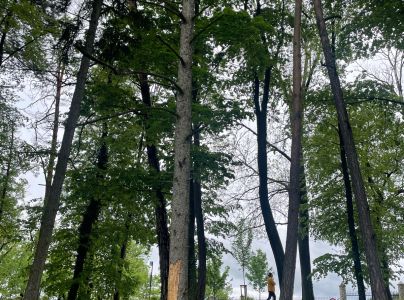 A - nejednoznačne určen&yacute;, nie sme si ist&iacute;