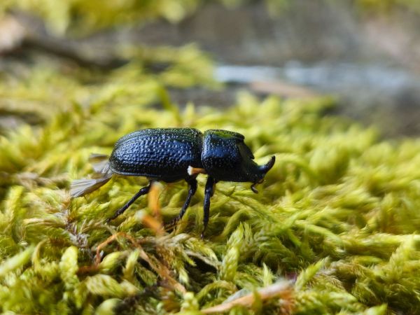 A - nie je v datab&aacute;ze