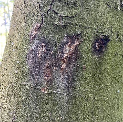  Vladimír Šalgovič