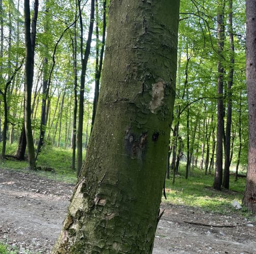  Vladimír Šalgovič