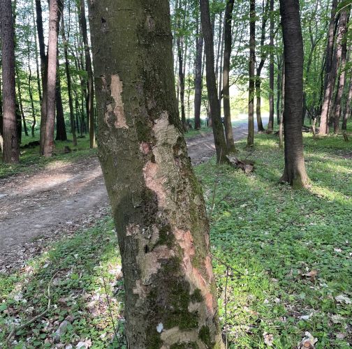  Vladimír Šalgovič