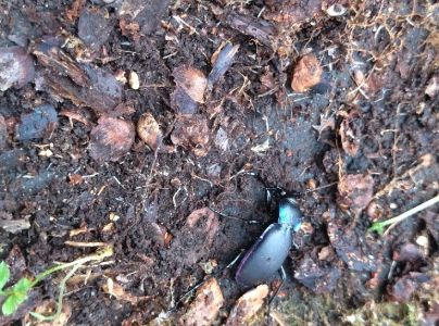 A - nie je v datab&aacute;ze