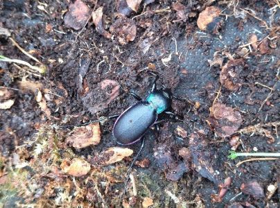 A - nie je v datab&aacute;ze