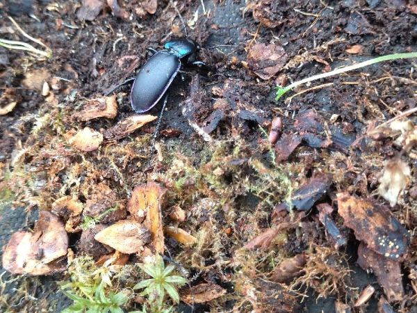 A - nie je v datab&aacute;ze