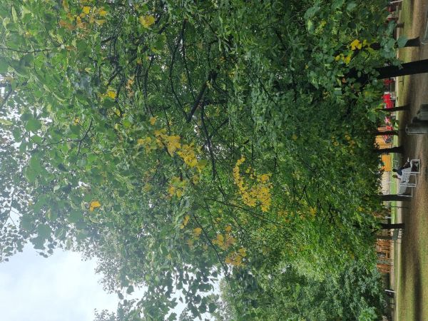 Teplo, sucho a &uacute;pal