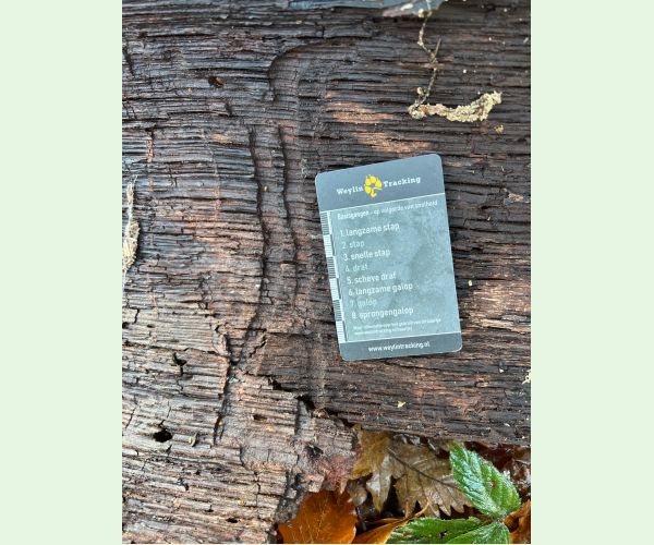 A - Ambiguously determined, we are not sure